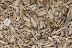 biomass boilers Dorcan